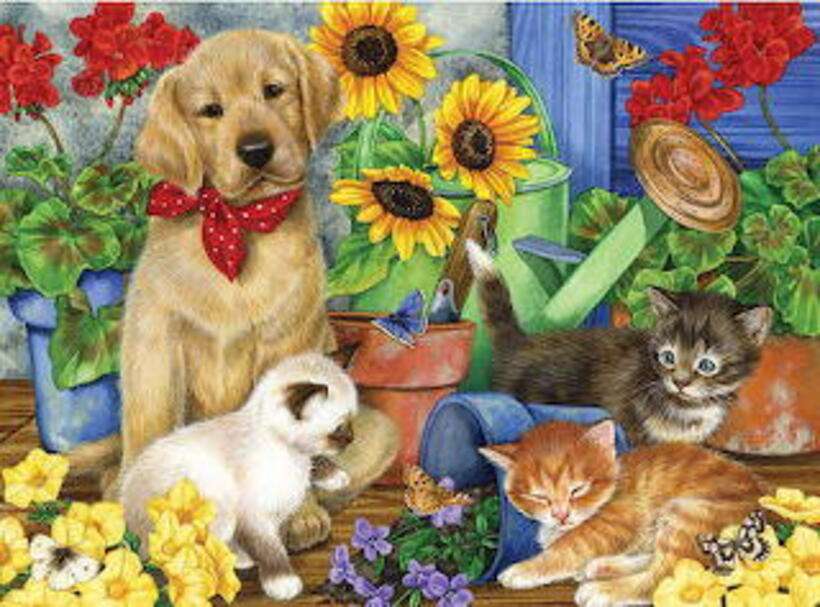 Puppy in the company of kittens online puzzle