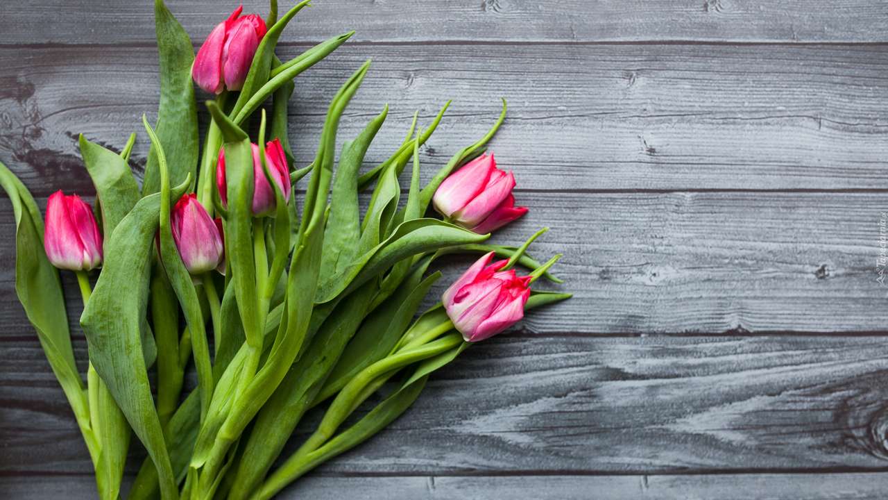 tulipánok kirakós online