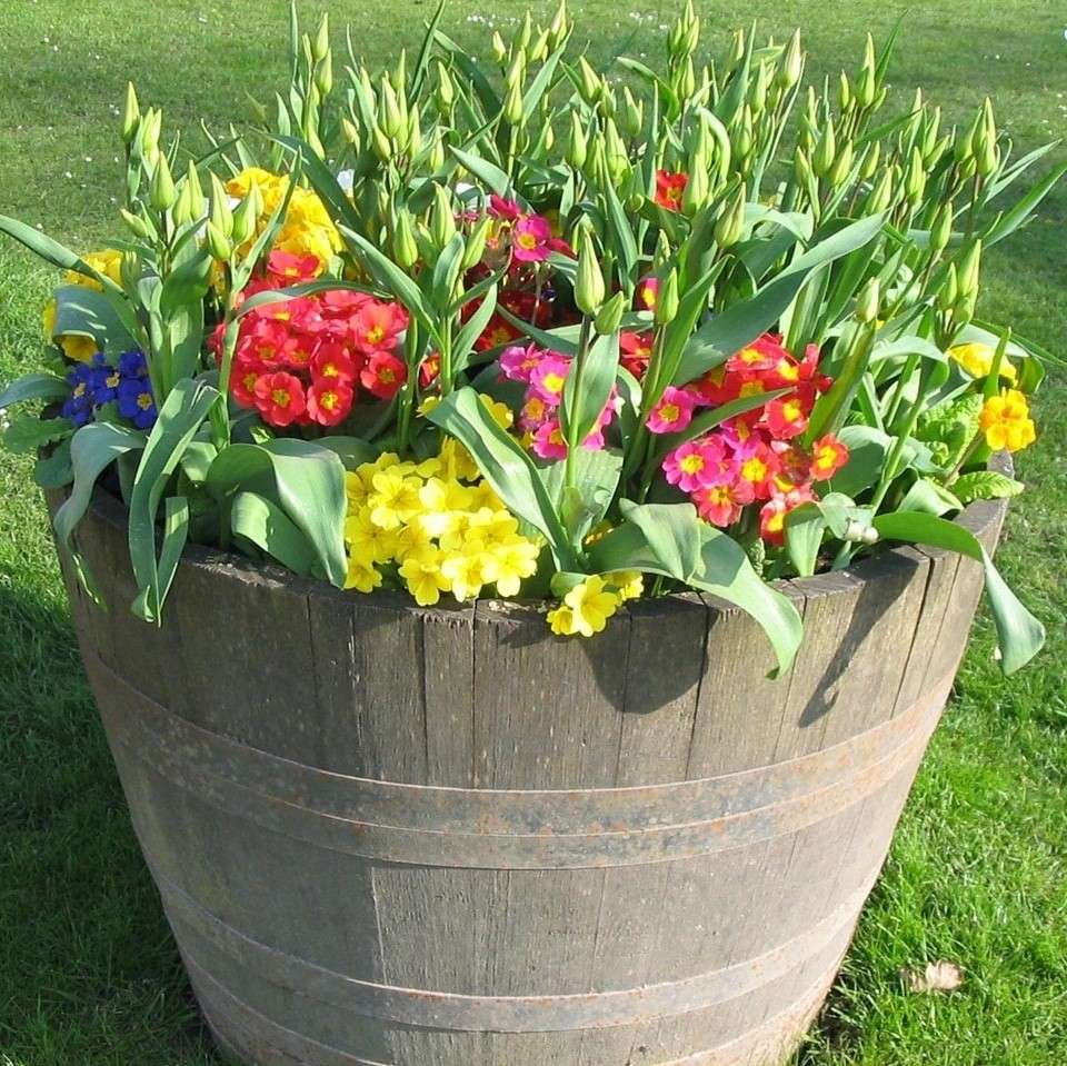 Spring flowers in a pot online puzzle