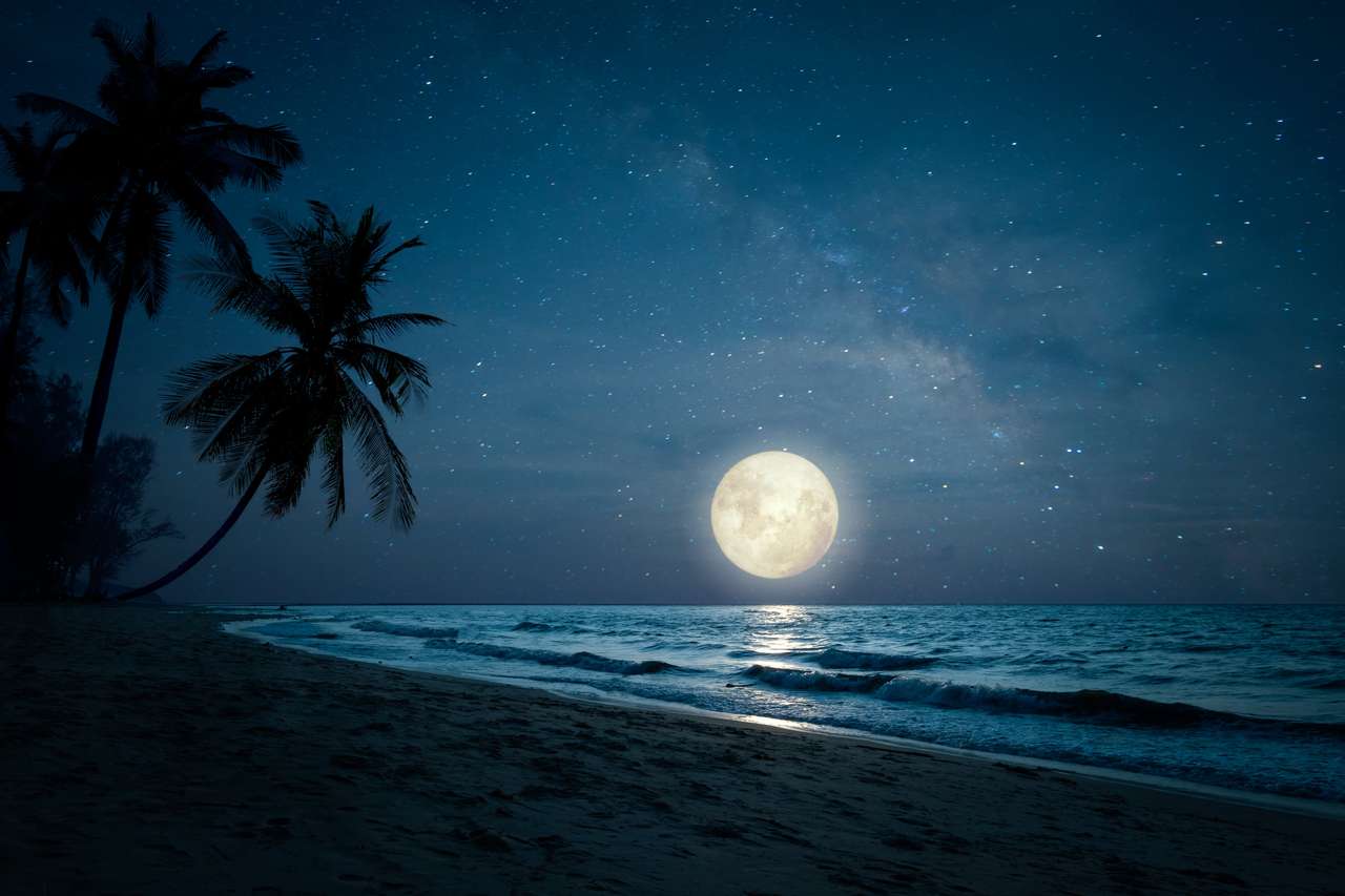 tropisk strand vid fullmånen Pussel online
