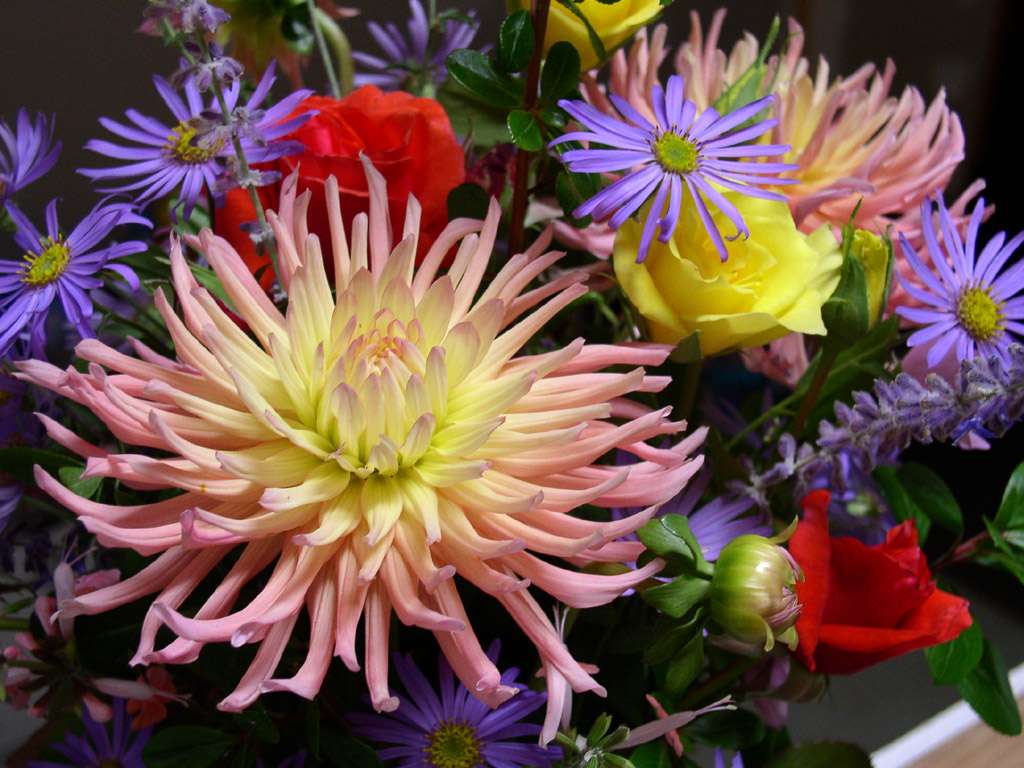Георгины и смешанные цветы пазл онлайн