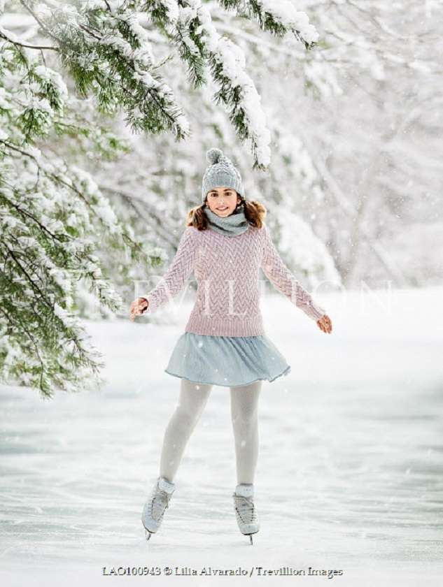 Novice fashion plate in skates on an icy lake online puzzle