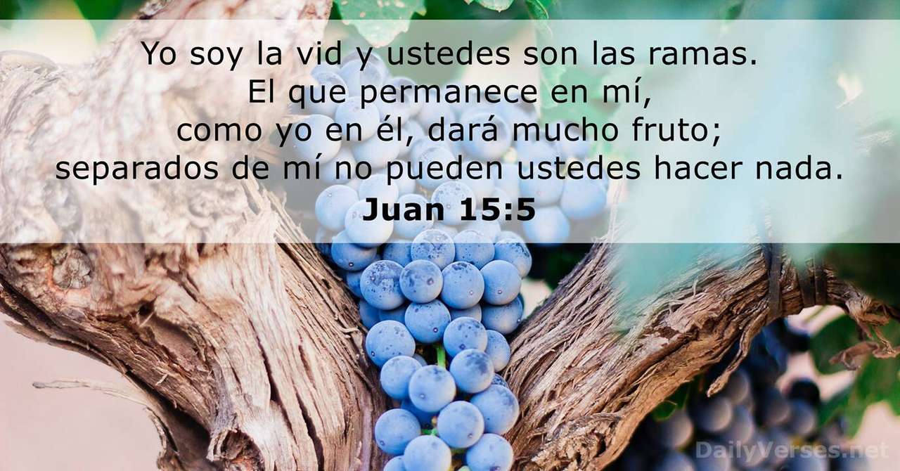 Juan 15:5 online puzzle