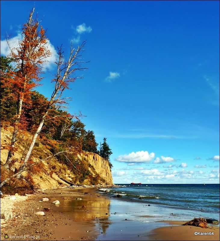 Cliff on the Baltic Sea in autumn jigsaw puzzle online