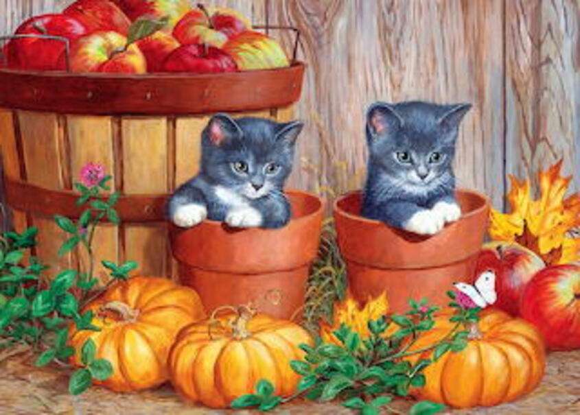 chatons et citrouilles puzzle en ligne