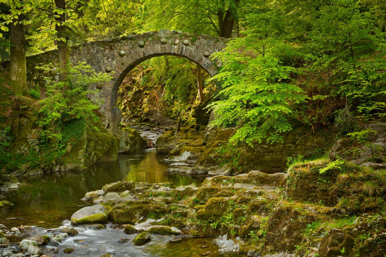 Foleyův most přes řeku Shimna v Tollymore Forest Park, Severní Irsko. skládačky online