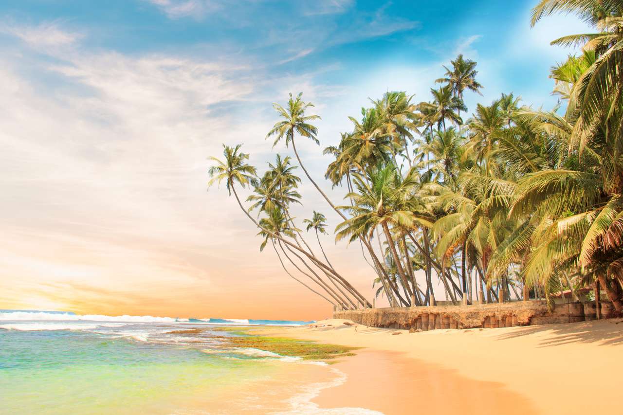 Schöne Aussicht auf den tropischen Strand von Sri Lanka Puzzlespiel online