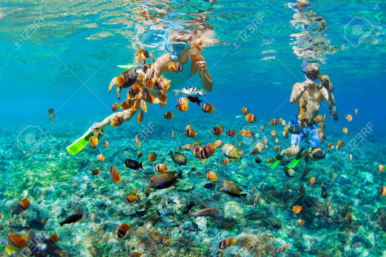 Uma vista do recife de corais e mergulhadores quebra-cabeças online