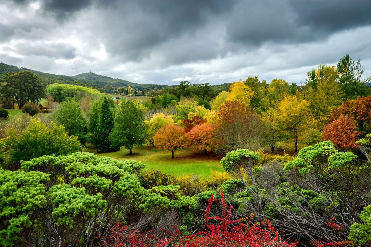 Herbstlandschaft unter dem Regen in Adelaide Hills Online-Puzzle