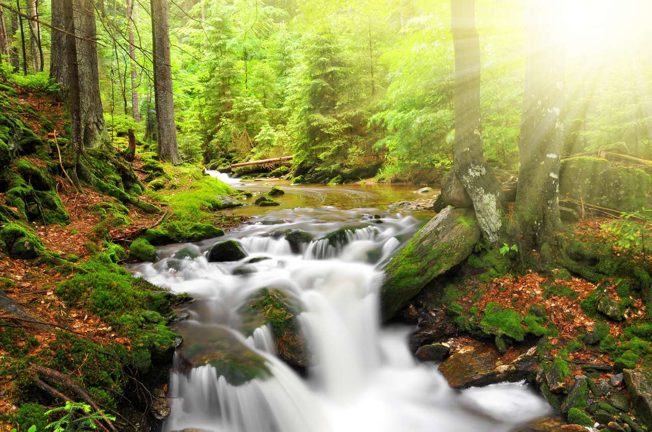 Водоспад у національному парку Шумава-Чеська Республіка пазл онлайн
