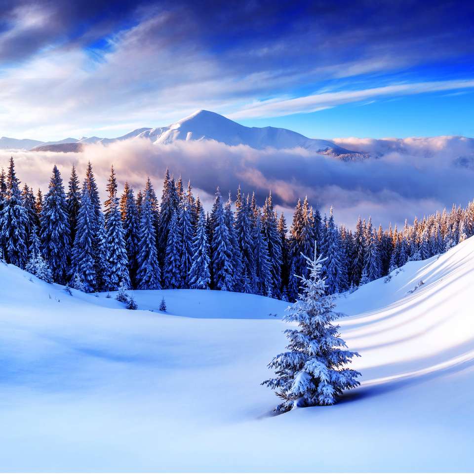 χιονισμένα δέντρα στα χειμερινά βουνά online παζλ