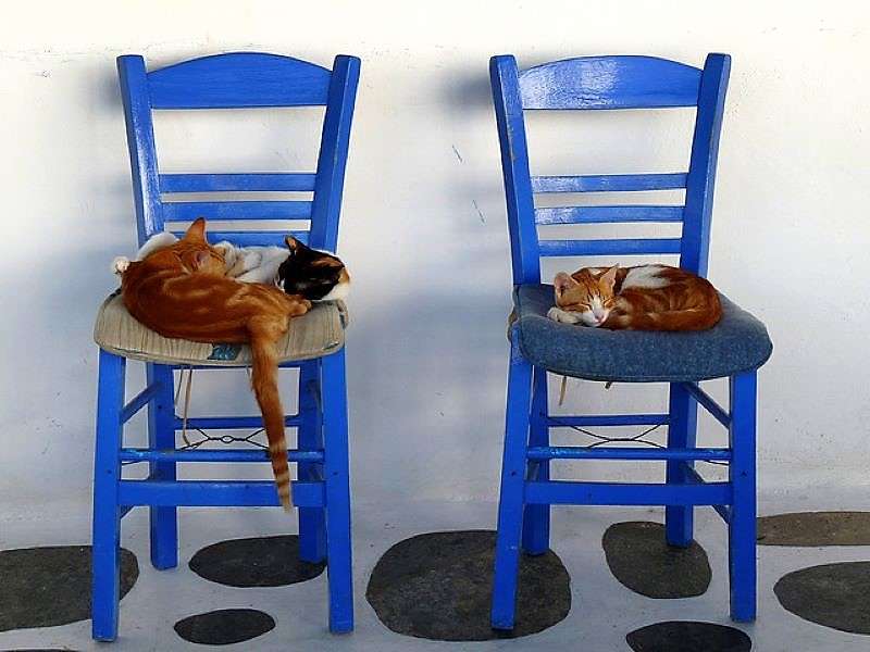 Ελληνικό νησί Μύκονος Άνω Μερά Γάτες κοιμούνται online παζλ
