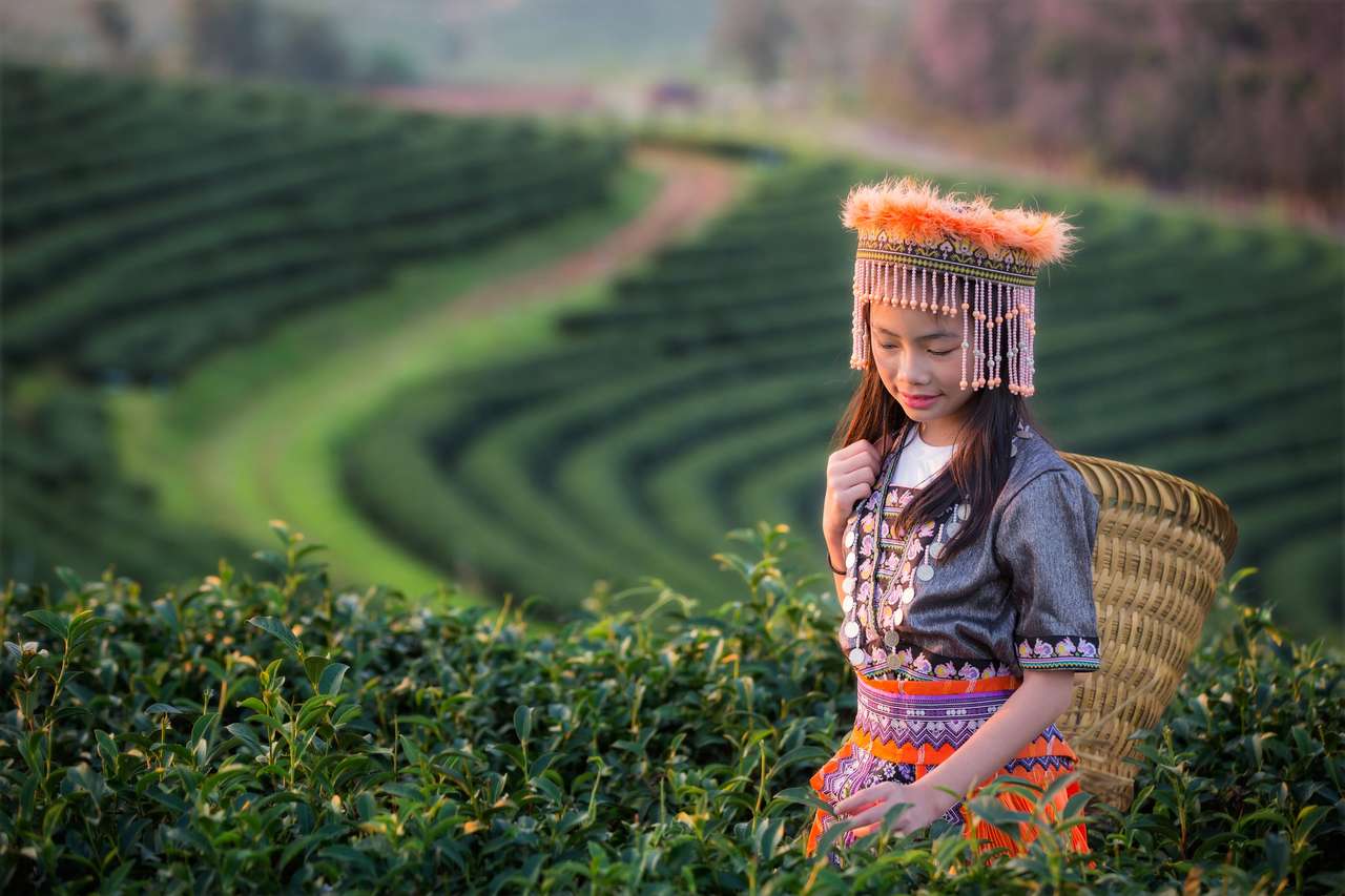 Момиче на поле за чай онлайн пъзел