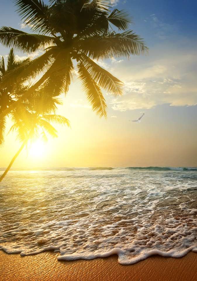 Ινδικός Ωκεανός στο ηλιοβασίλεμα, Σρι Λάνκα παζλ online