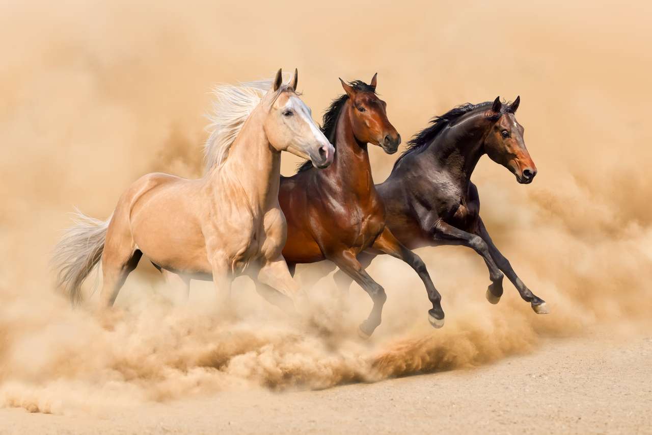 砂漠の砂嵐の中を走る3頭の馬 オンラインパズル