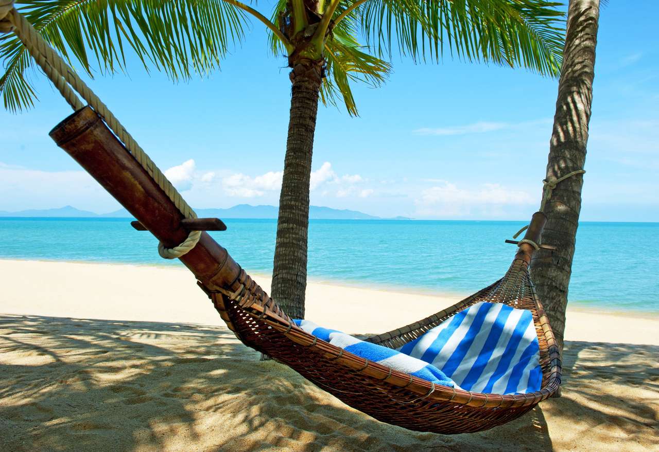 Empty hammock between palms trees at sandy beach online puzzle