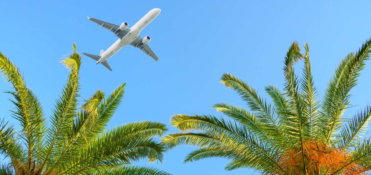 Flugzeug, das über tropische Palmen fliegt Online-Puzzle