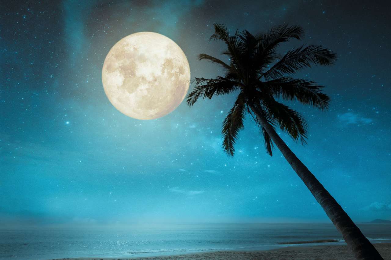 Plage tropicale avec étoile dans le ciel nocturne, pleine lune puzzle en ligne