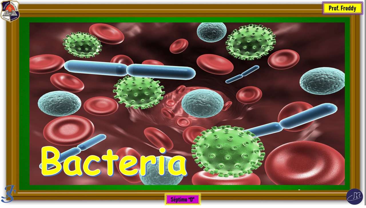 bacteria jigsaw puzzle online