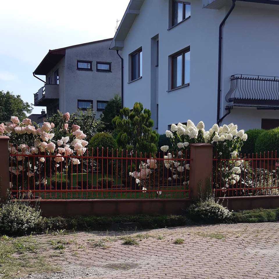 Цветы перед домом онлайн-пазл