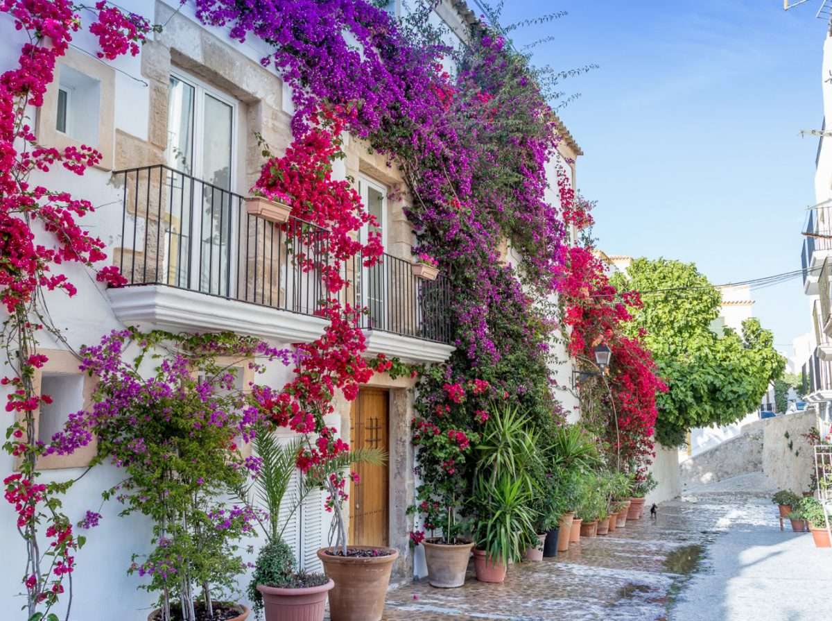 Una calle de flores en Ibiza rompecabezas en línea