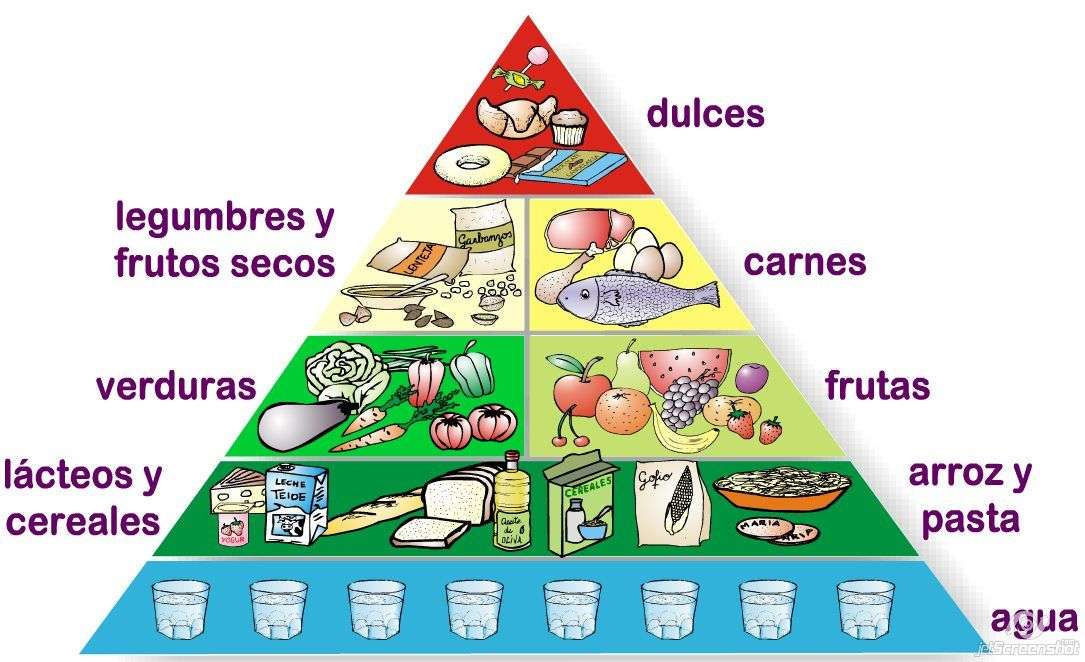 táplálkozási piramis kirakós online