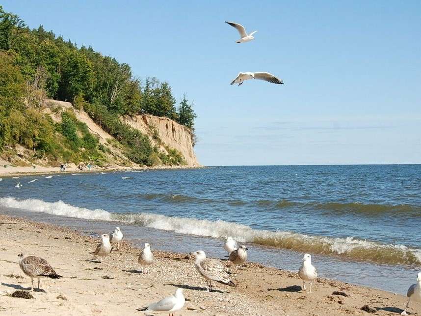 Cliff in Orłowo. puzzle online