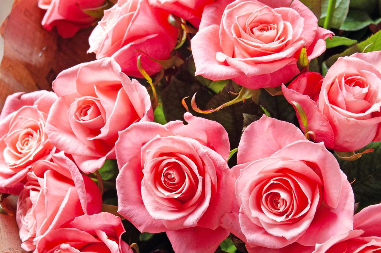 Gyönyörű rózsaszín rózsa csokor kirakós online