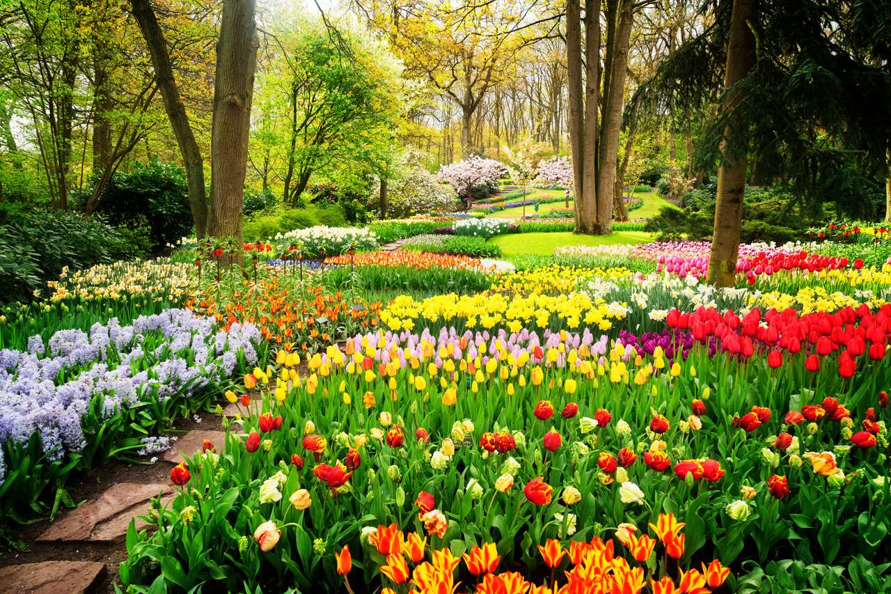 Coloridos macizos de flores de tulipanes rompecabezas en línea