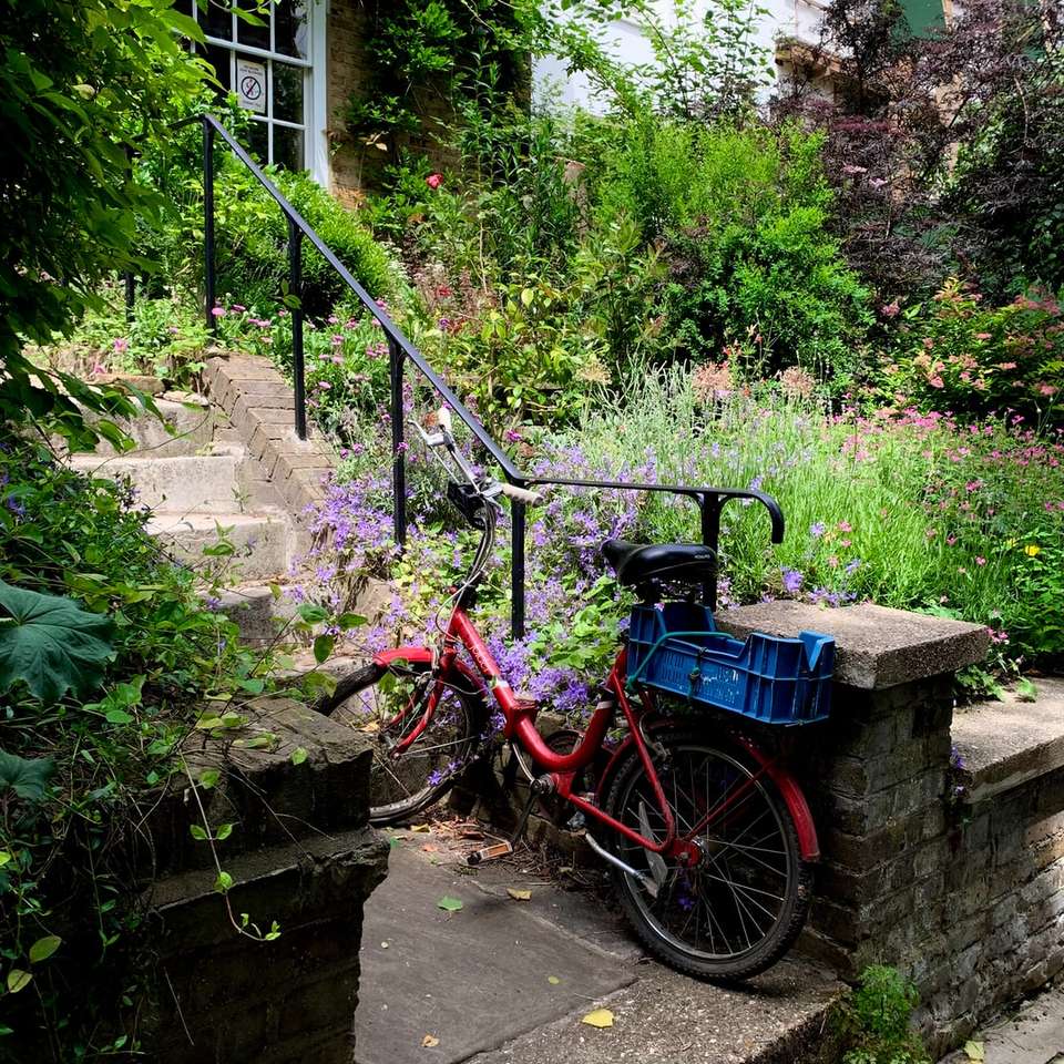красный велосипед припаркован рядом с зелеными растениями пазл онлайн