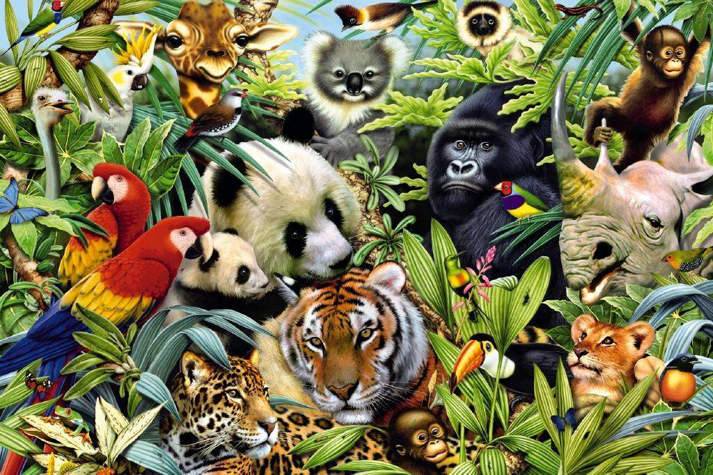 ANIMALE (CLASA A IV-A) jigsaw puzzle online