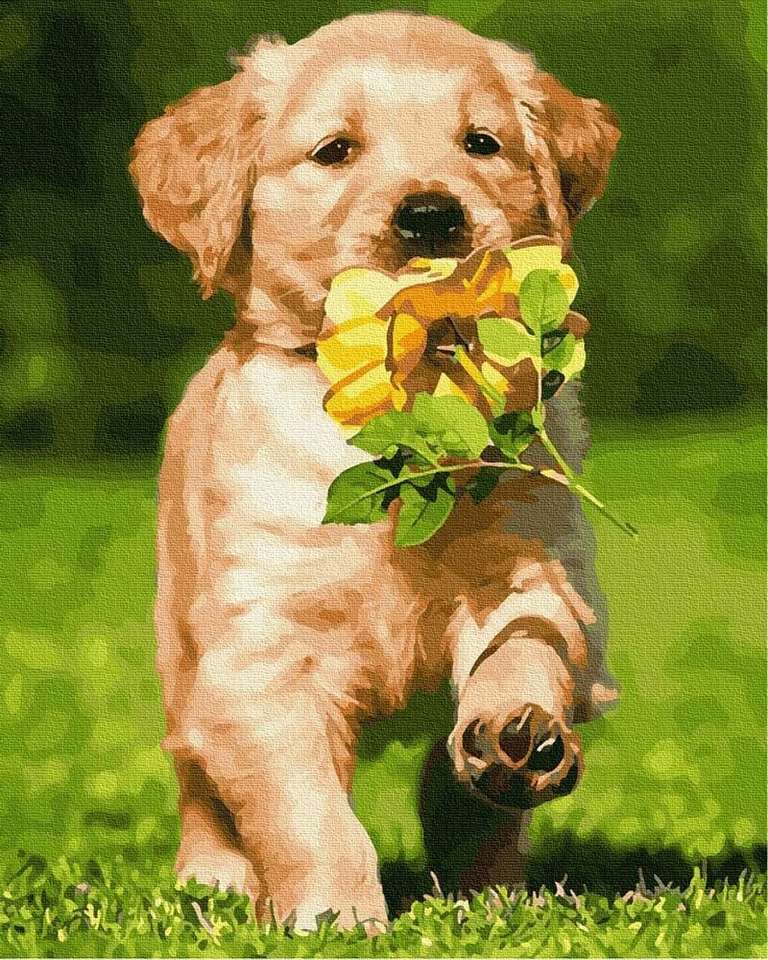 perro con una flor rompecabezas en línea
