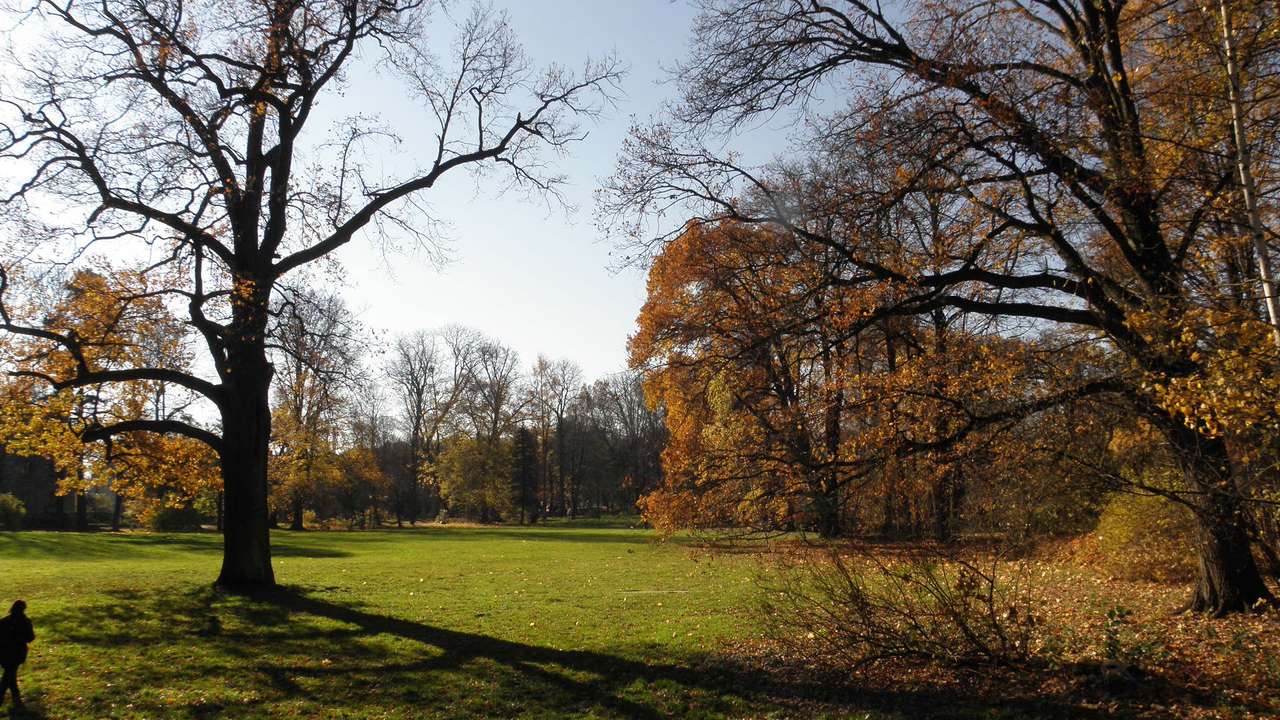 Park jesienią  pussel på nätet