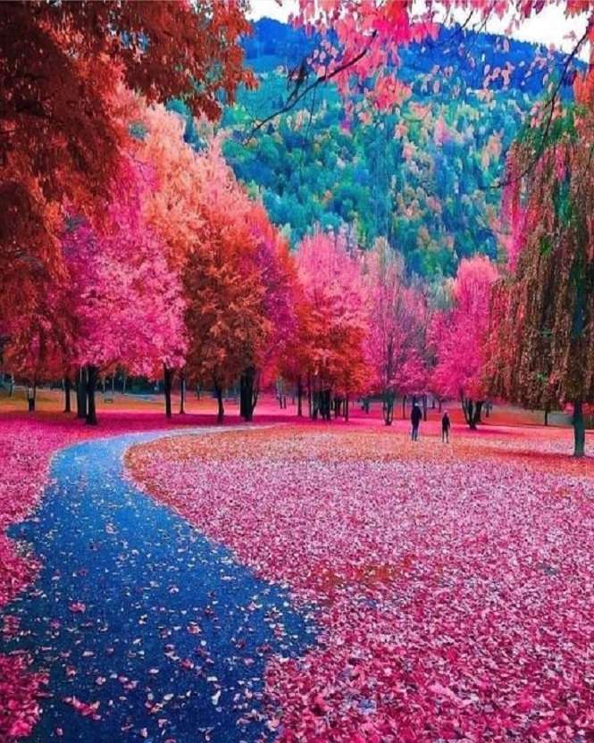 Цветна есен. онлайн пъзел