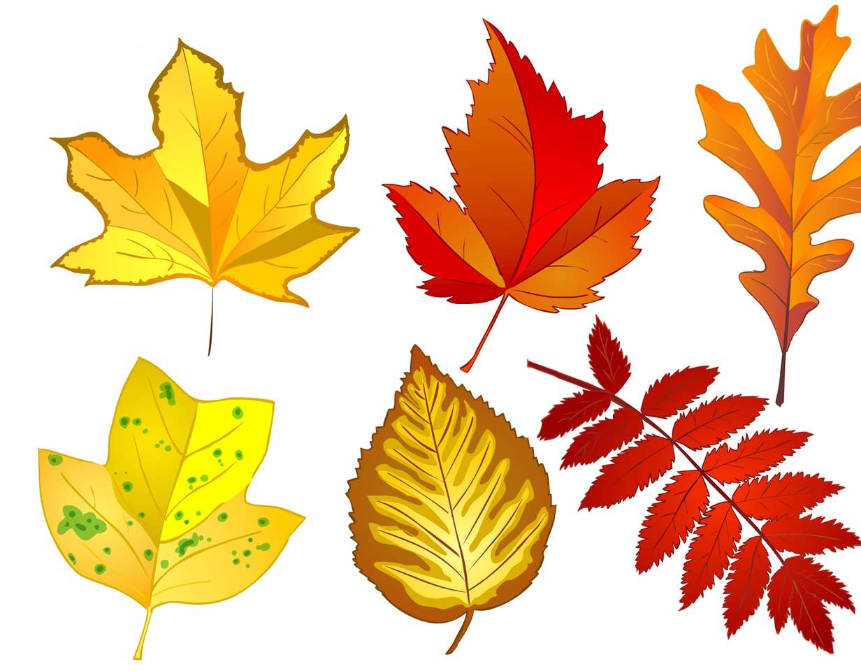 Красочные листья пазл онлайн