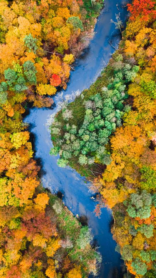 Вид с воздуха на лес онлайн-пазл