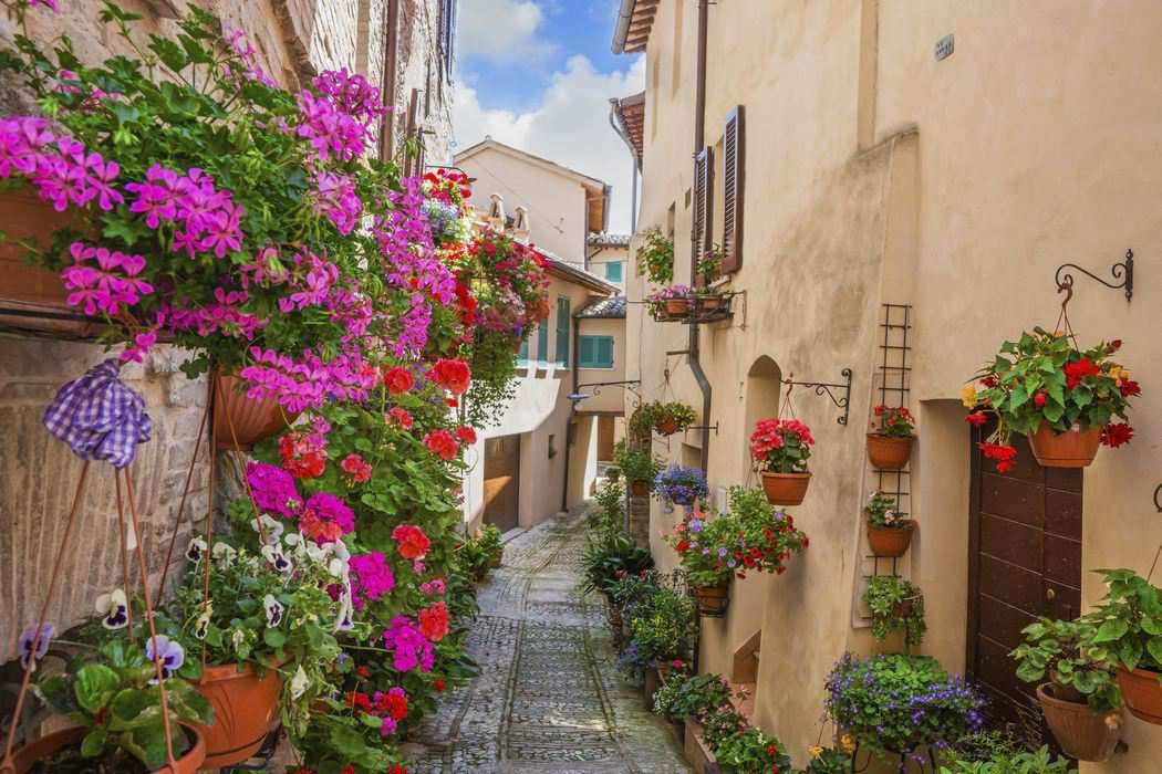Wohnhäuser und eine schmale Straße in Blumen Puzzlespiel online