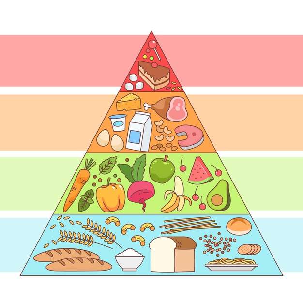 харчова піраміда онлайн пазл