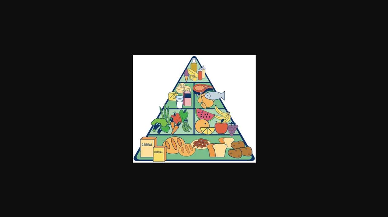 пищевая пирамида пазл онлайн