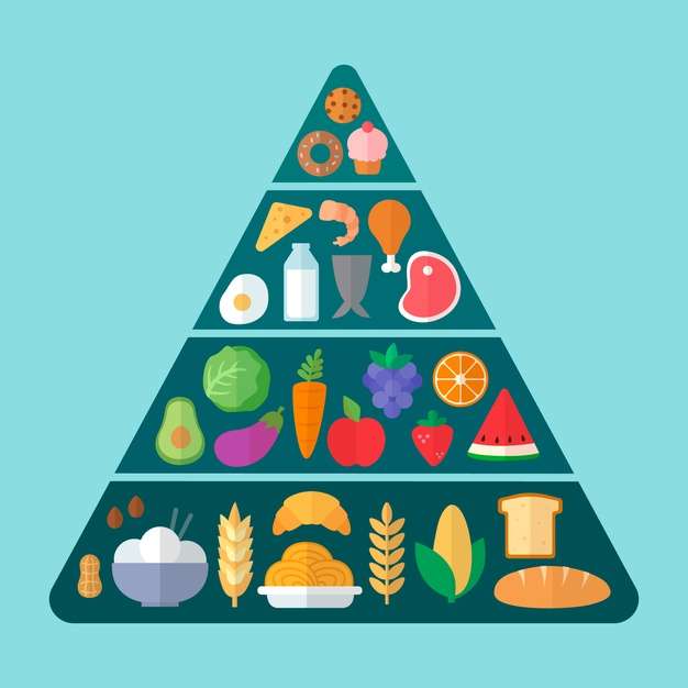 Pyramide alimentaire puzzle en ligne