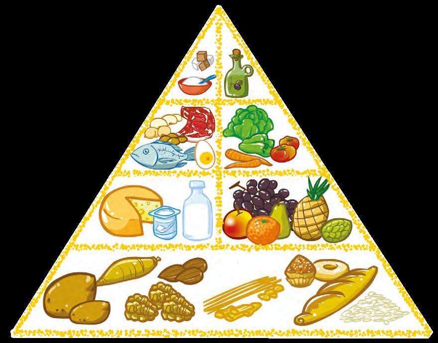 pirámide alimenticia rompecabezas en línea