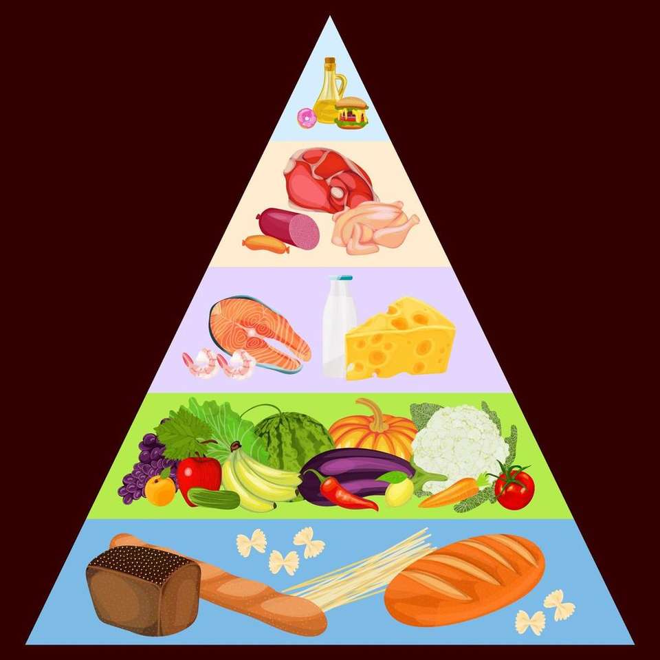пищевая пирамида онлайн-пазл