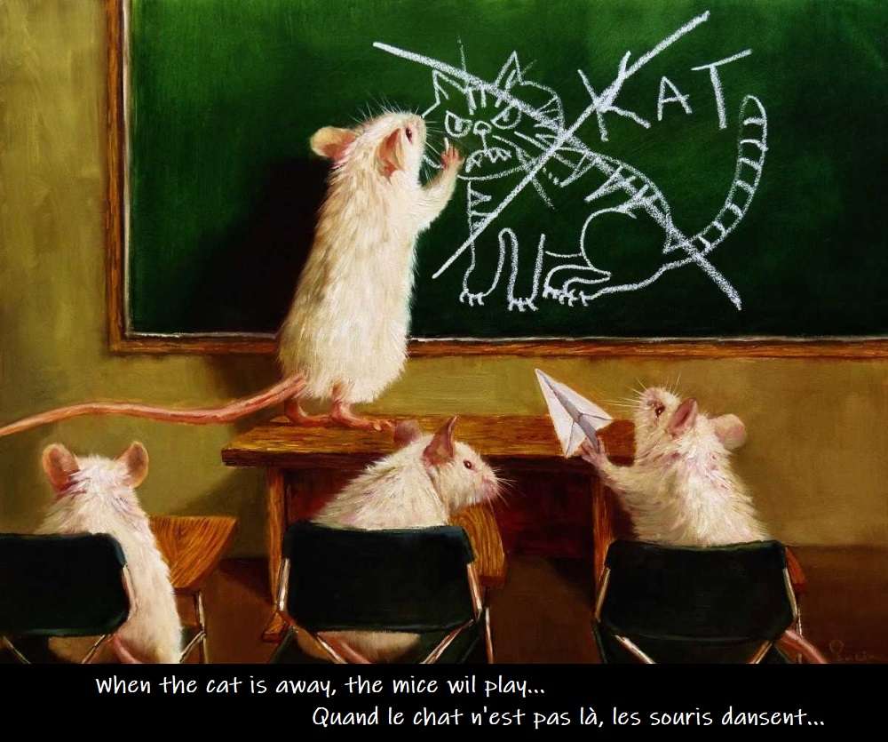 Als de kat van huis is, gaan de muizen spelen... online puzzel