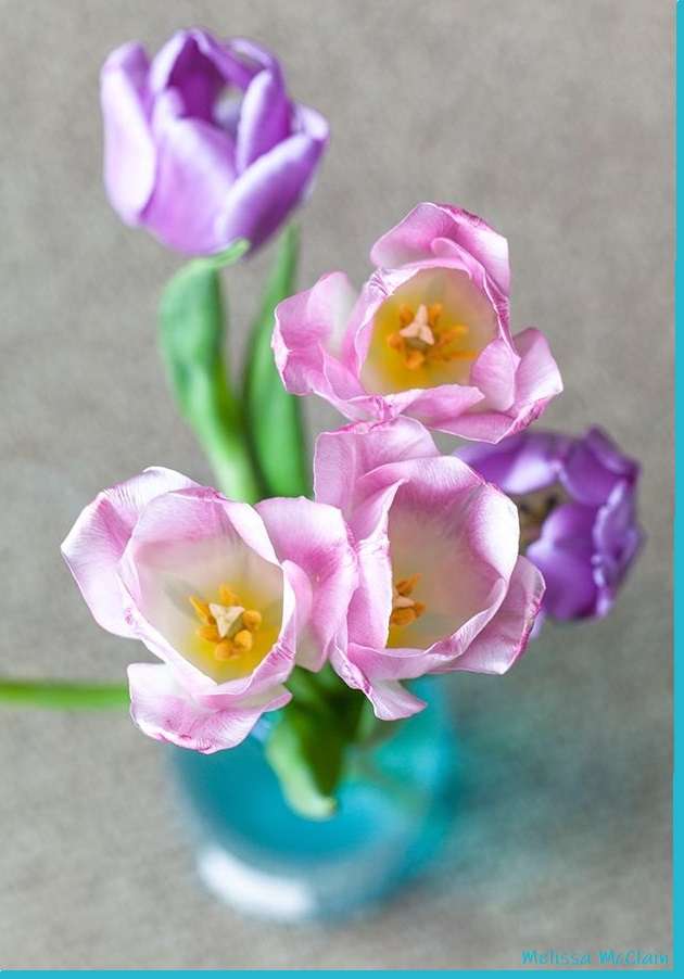 A tavasz illatai és színei kirakós online