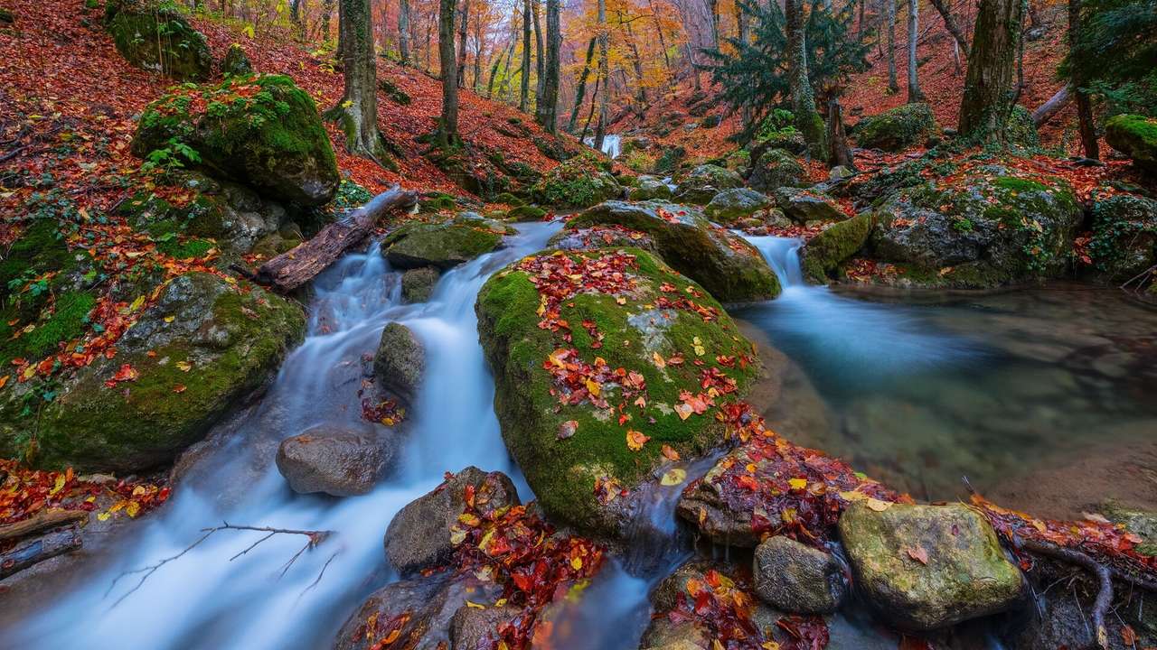Ein kleiner Fluss im herbstlichen Wald Online-Puzzle