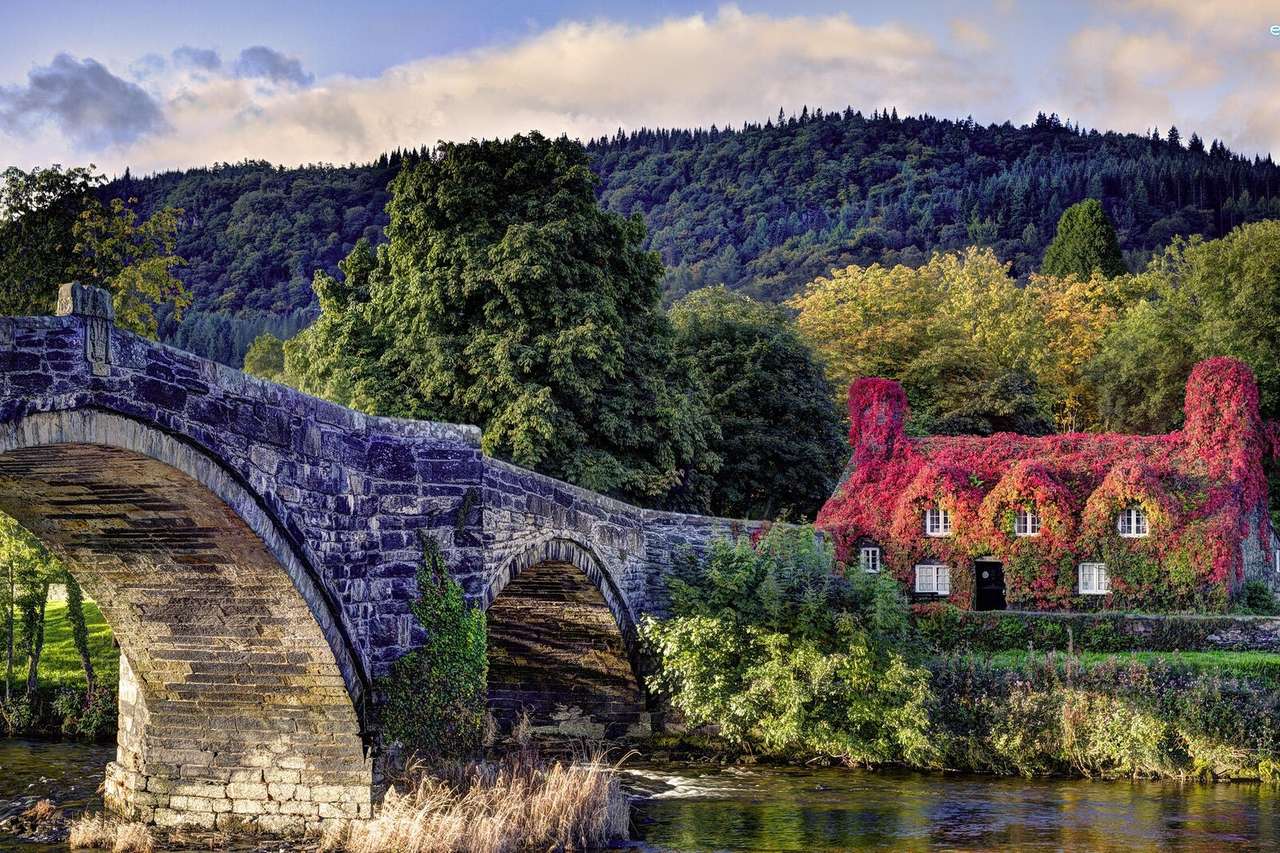 A stone bridge and a house in ivy, Wales jigsaw puzzle online