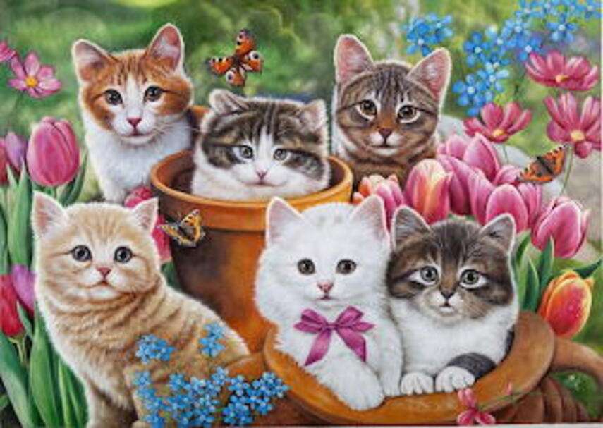 Sex kattungar bland blommor Pussel online