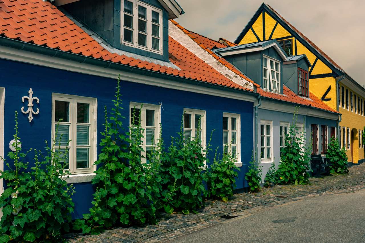 Colored houses in Ireland online puzzle
