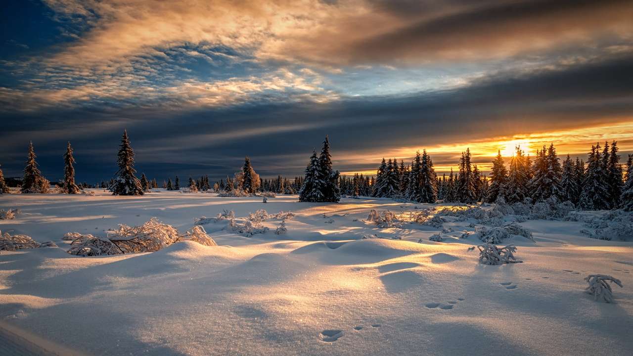 Zima na Aljašce online puzzle