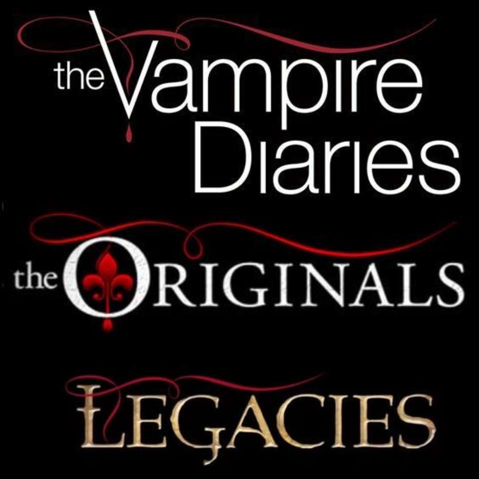 TVD TO Legacy puzzle online